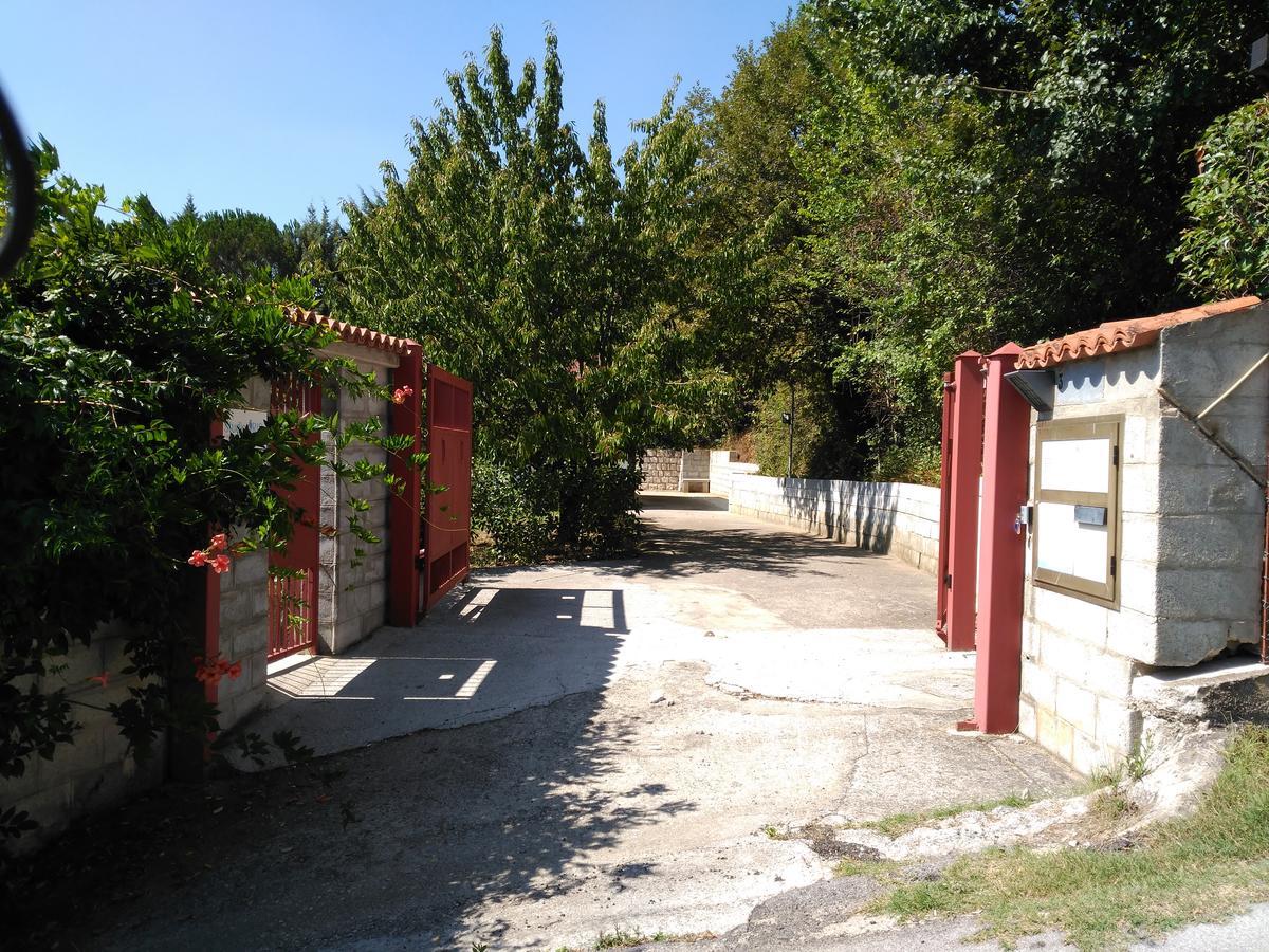 بوتنزا B&B The Lodge المظهر الخارجي الصورة