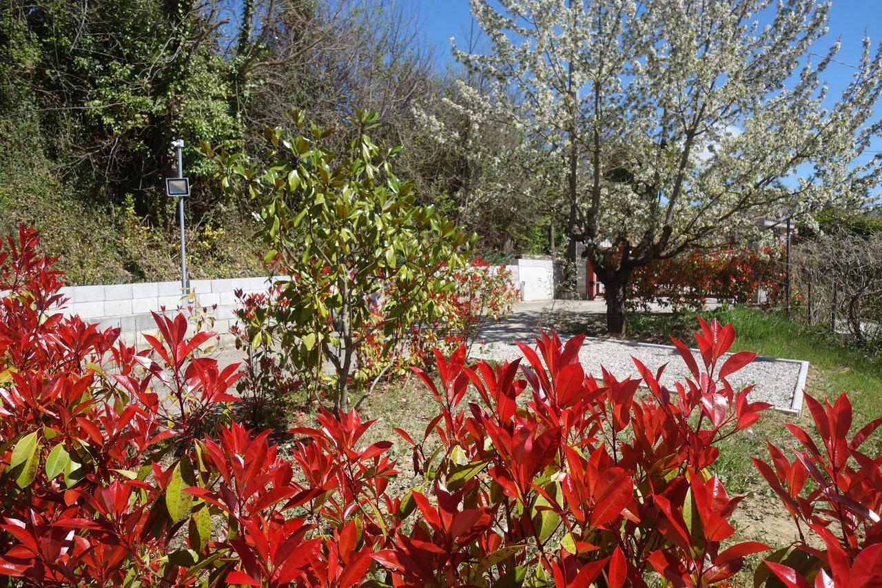 بوتنزا B&B The Lodge المظهر الخارجي الصورة