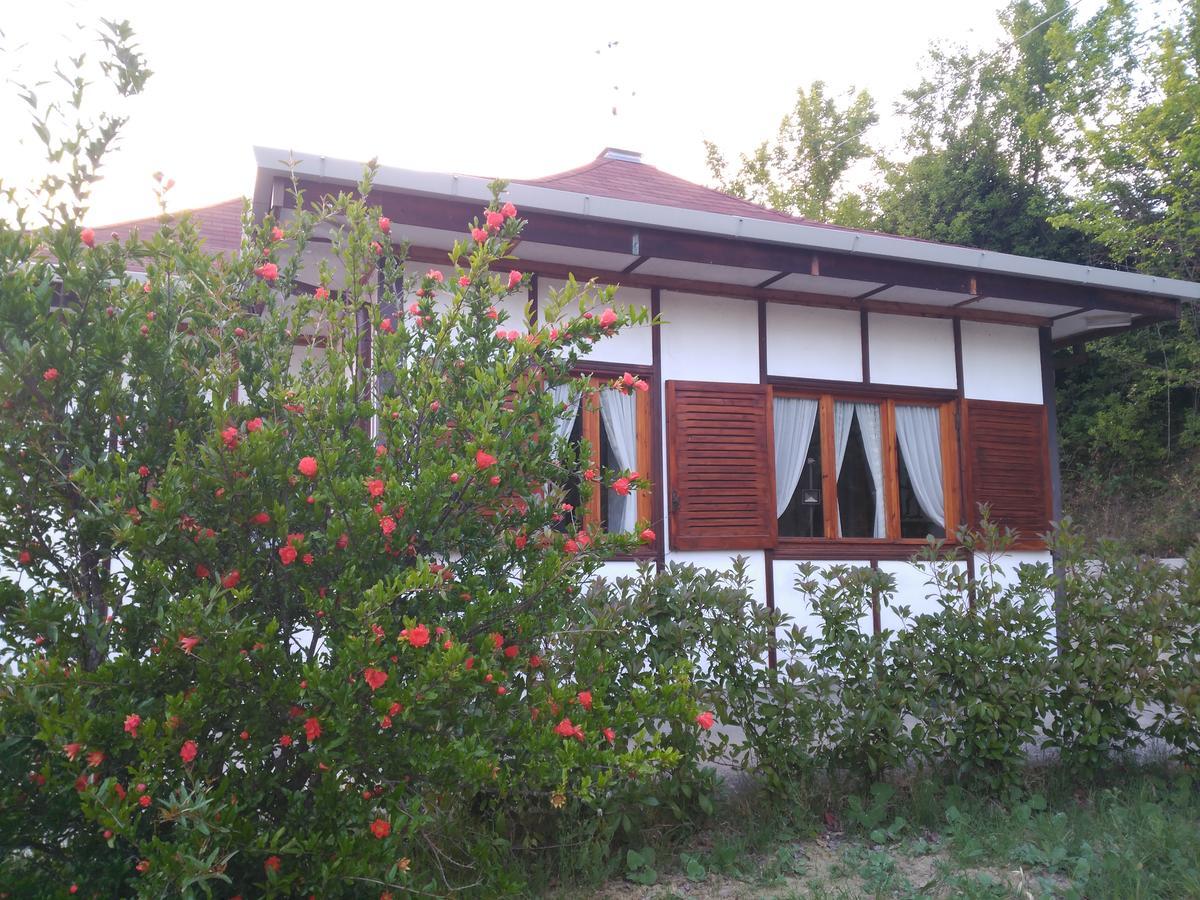 بوتنزا B&B The Lodge المظهر الخارجي الصورة